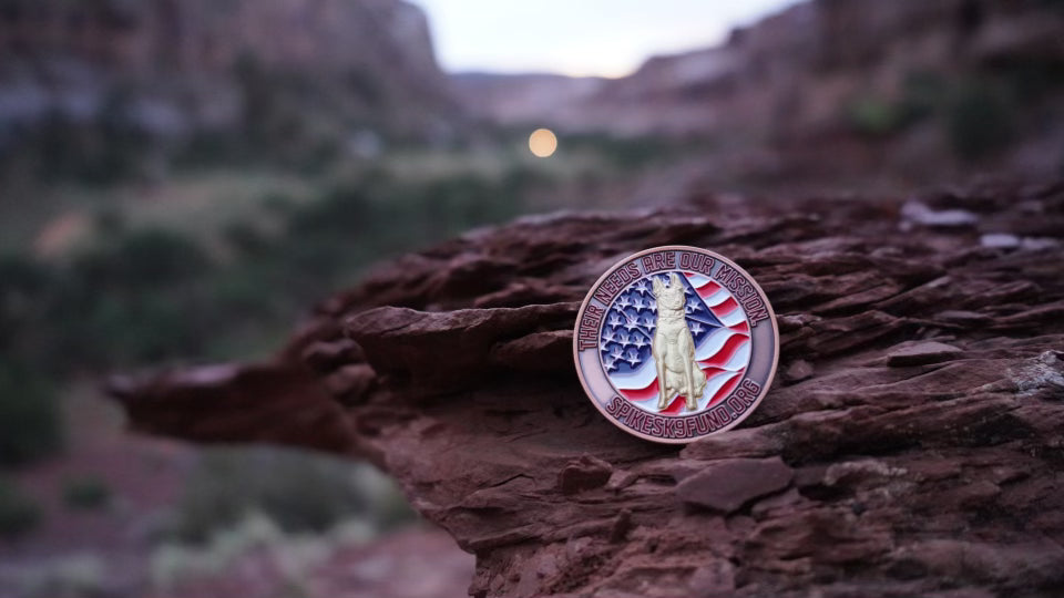 Challenge Coin - Copper