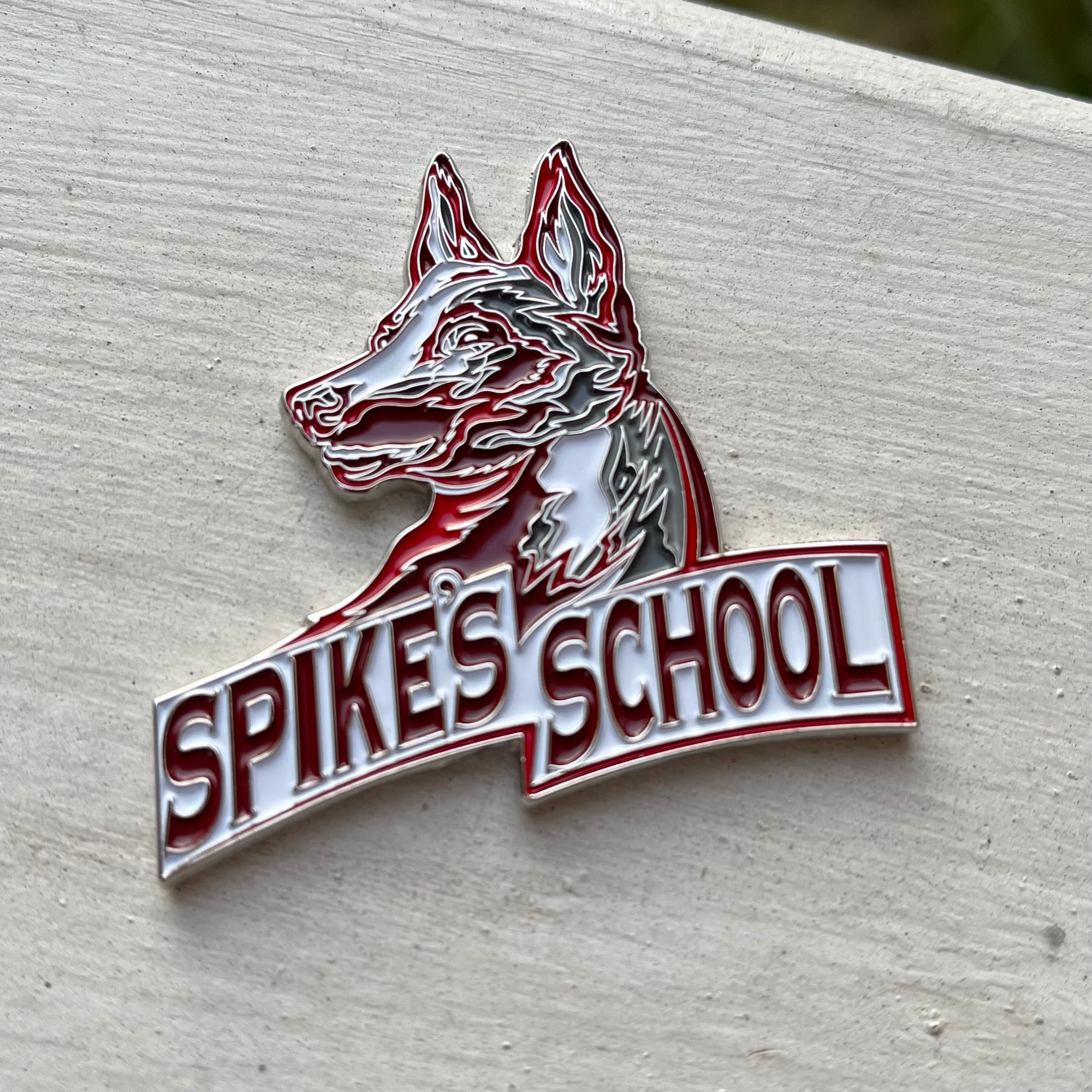 Spike's School Challenge Coin