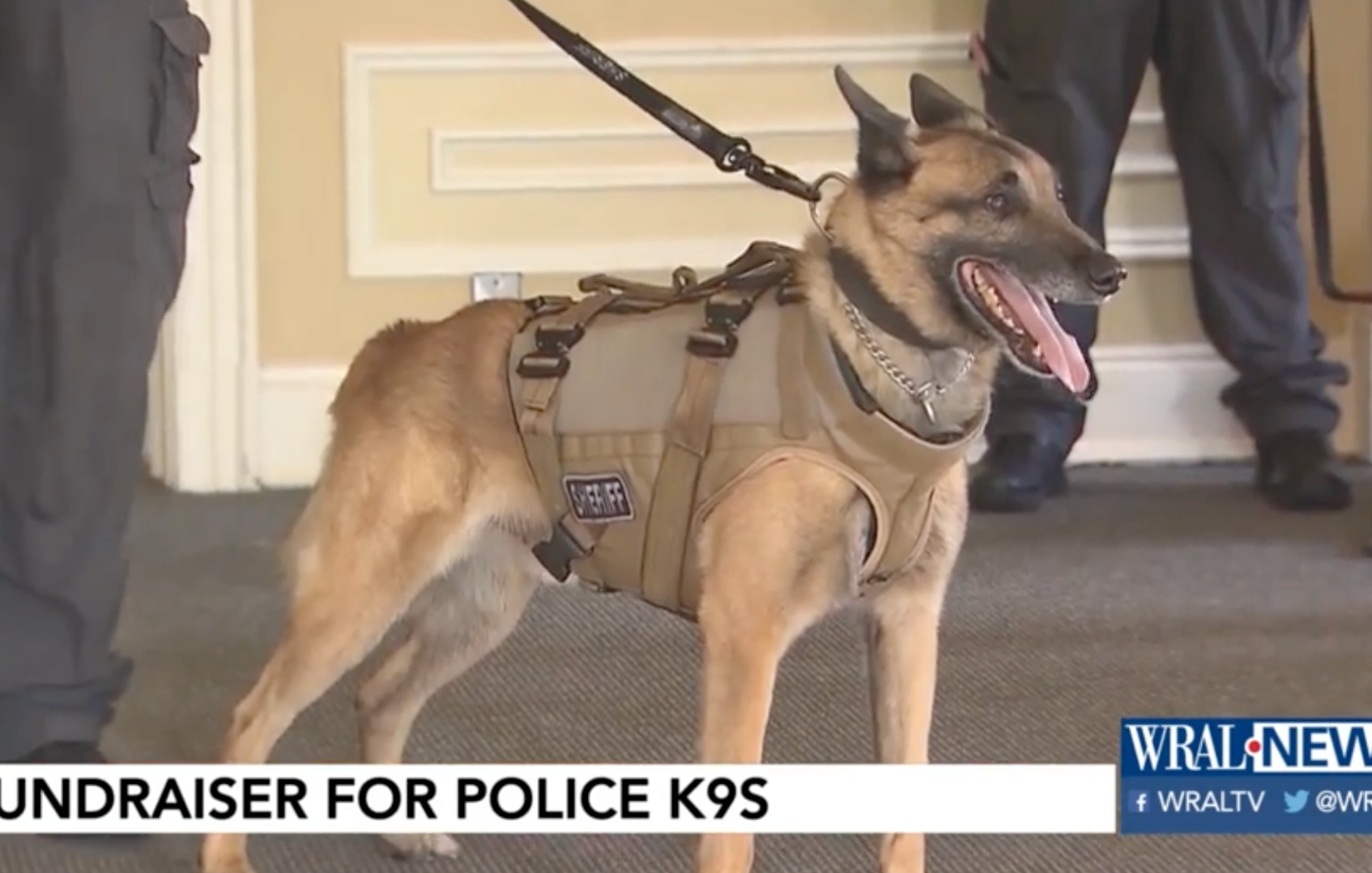 Fundraiser helps provide bulletproof vests for police dogs