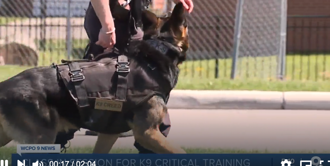 Dog Days at School: Tri-State police K-9s take critical training course on dangerous suspect takedowns
