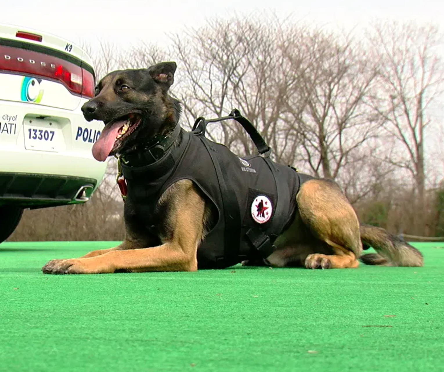 Navy SEAL's mission to save police dogs