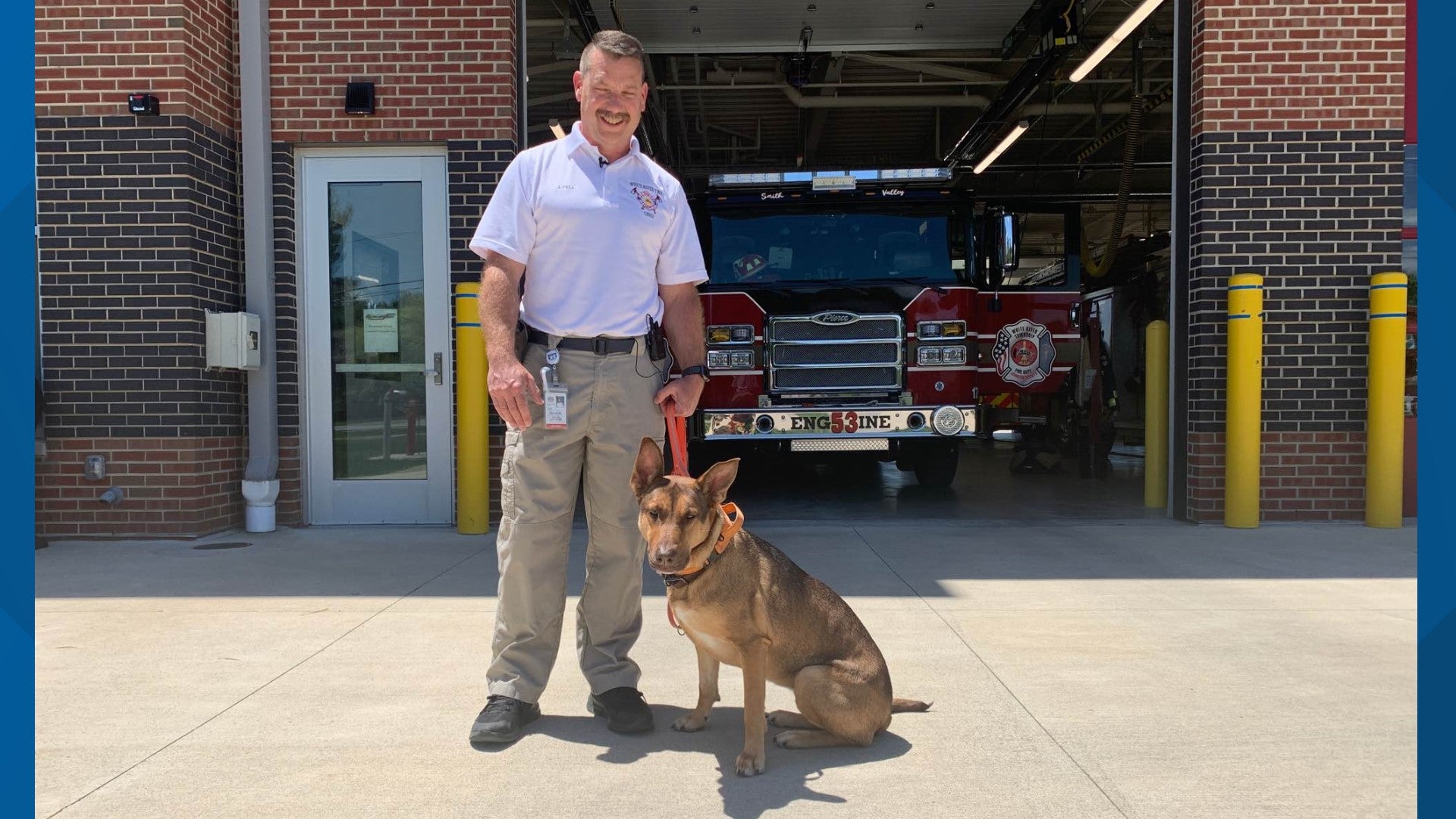 Rosie the rescued rescue dog had 'great makings for the job' in Johnson County