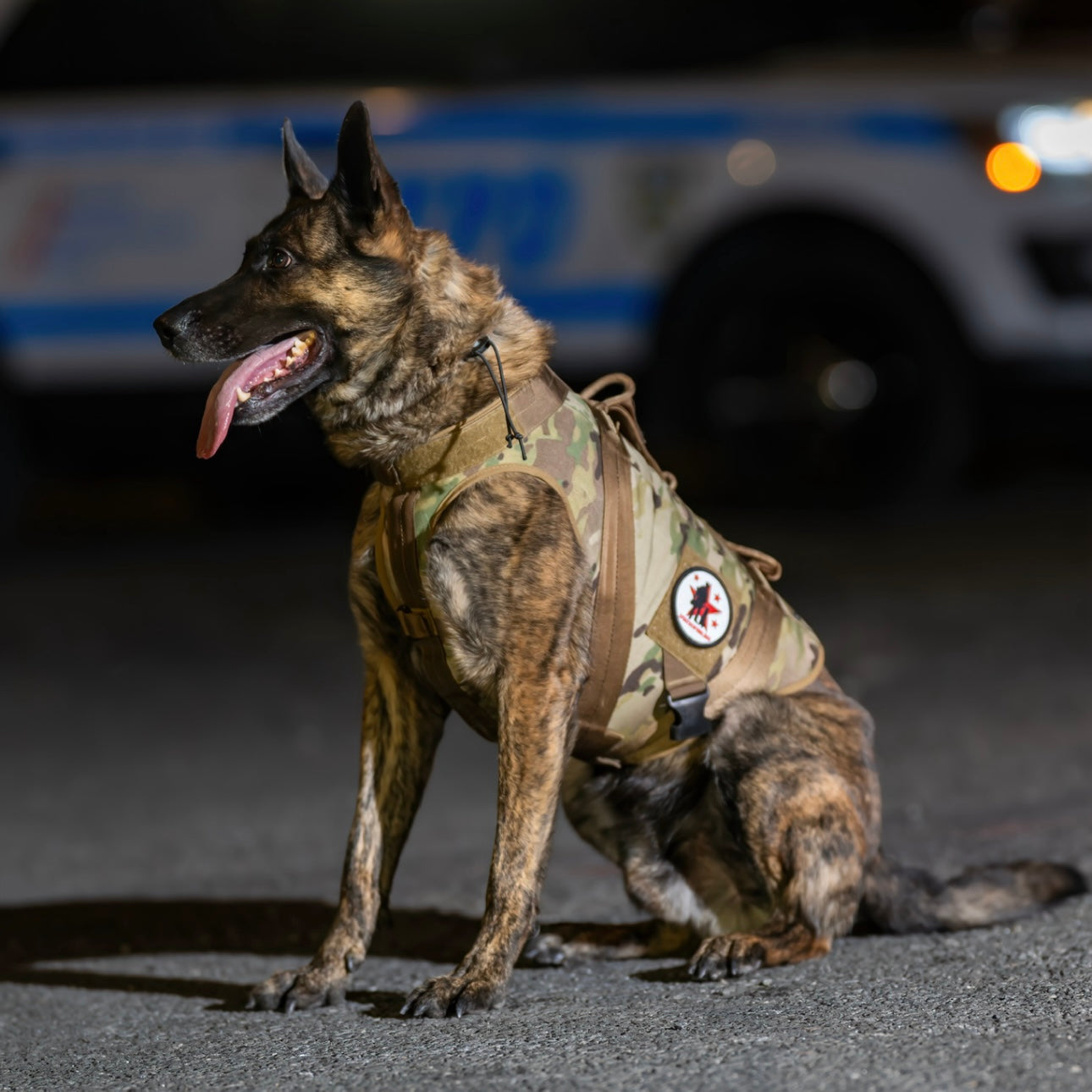 Support a Working K9 Spike's K9 Fund - Main Image