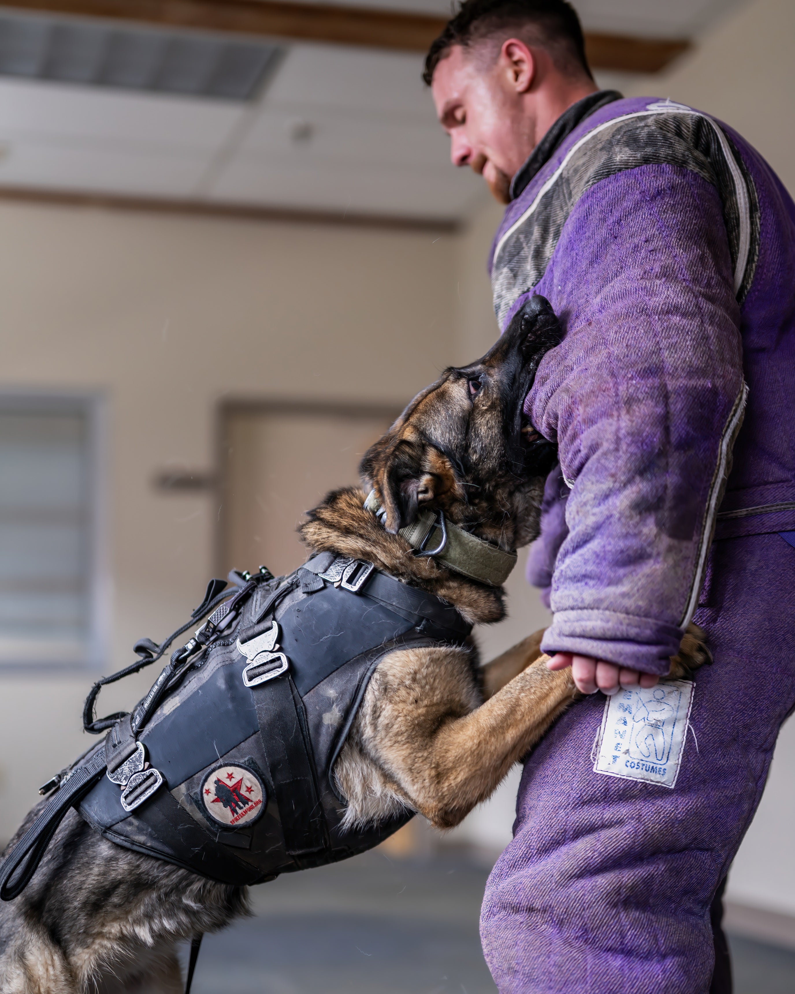 Spike's School - Spike's K9 Fund