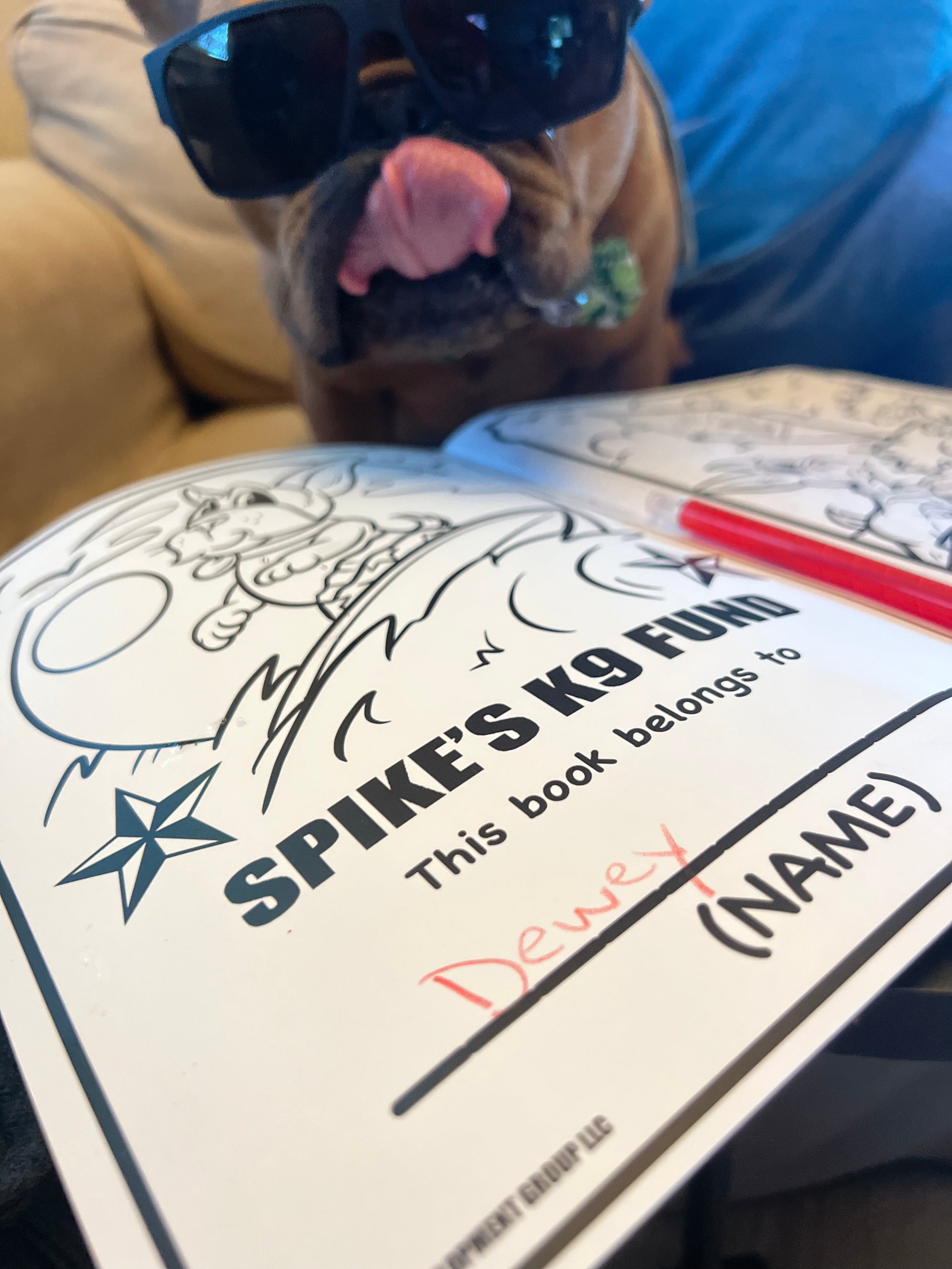 Summer Vacation - Dewey Edition!