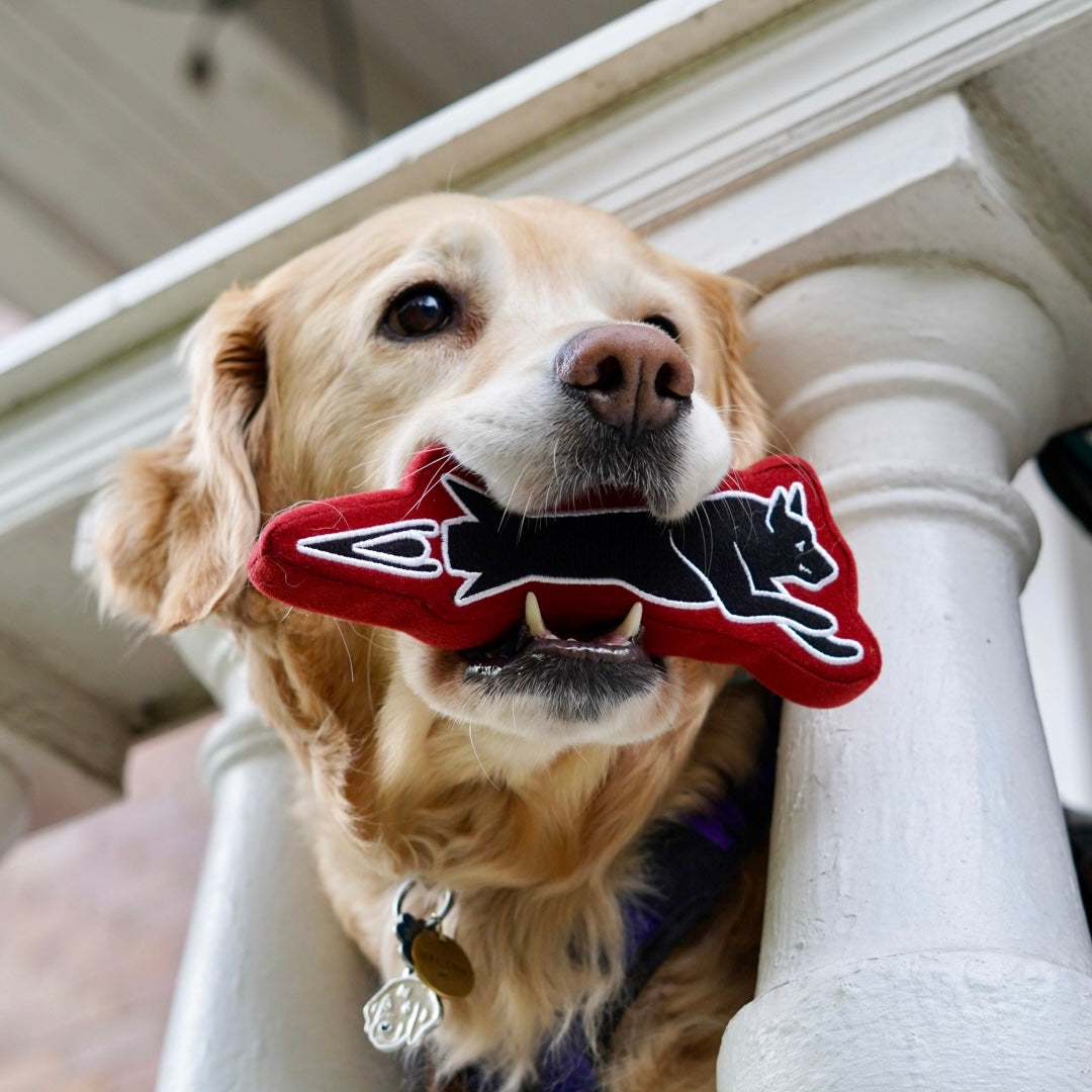 Hairmissile Dog Toy