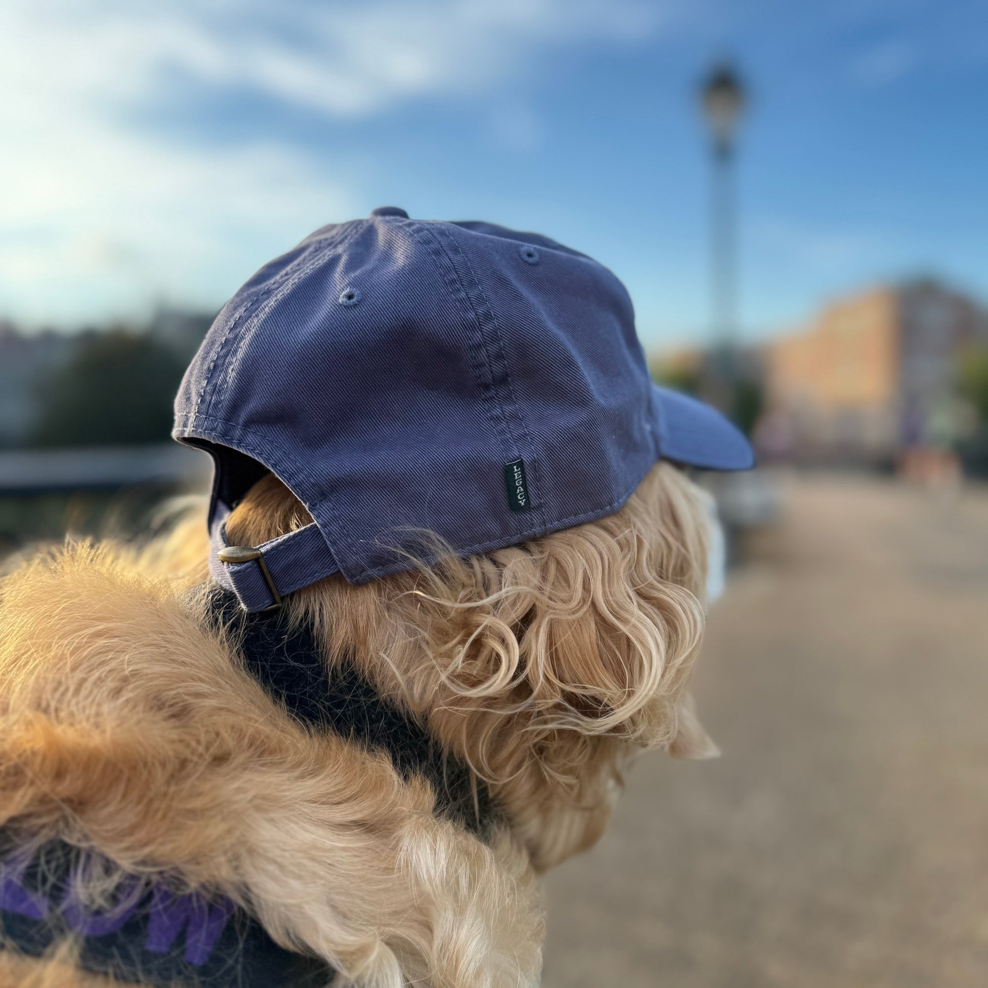 OG Logo Dad Hat - Slate Blue