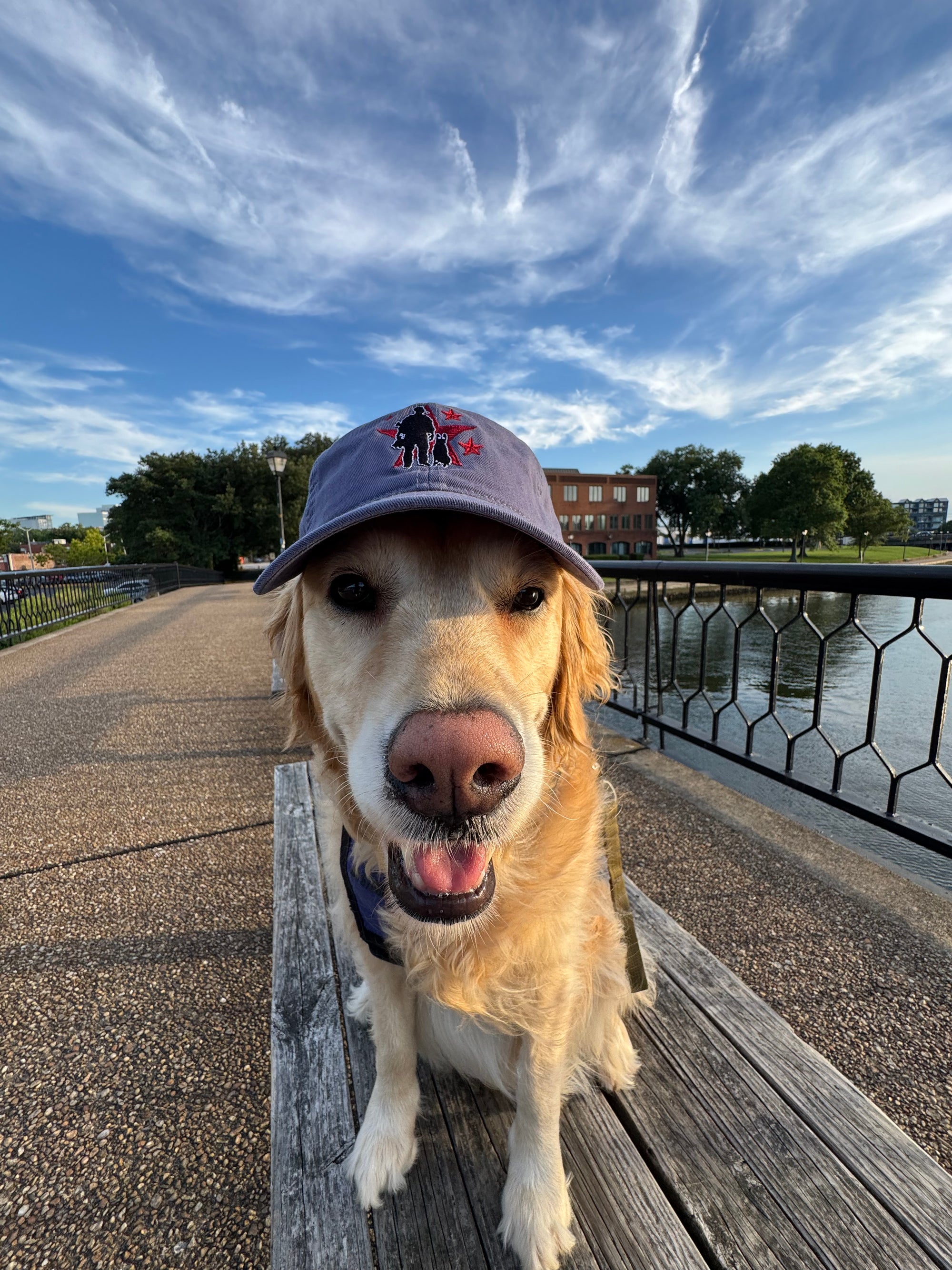 OG Logo Dad Hat - Slate Blue