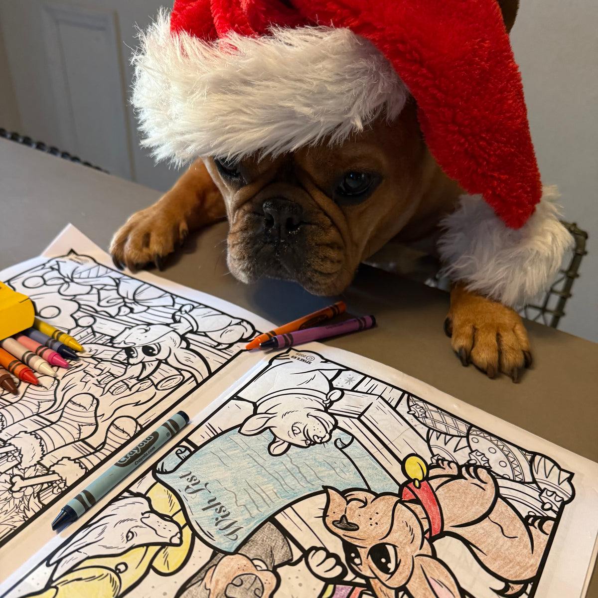A Very Dewey Christmas Coloring Book 5