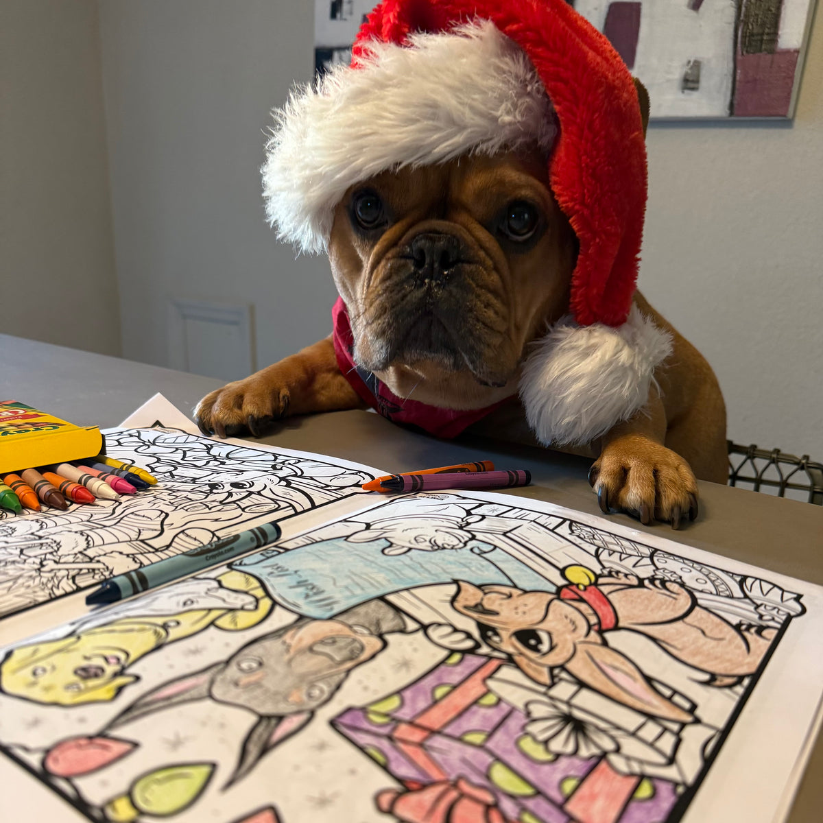 A Very Dewey Christmas Coloring Book 5