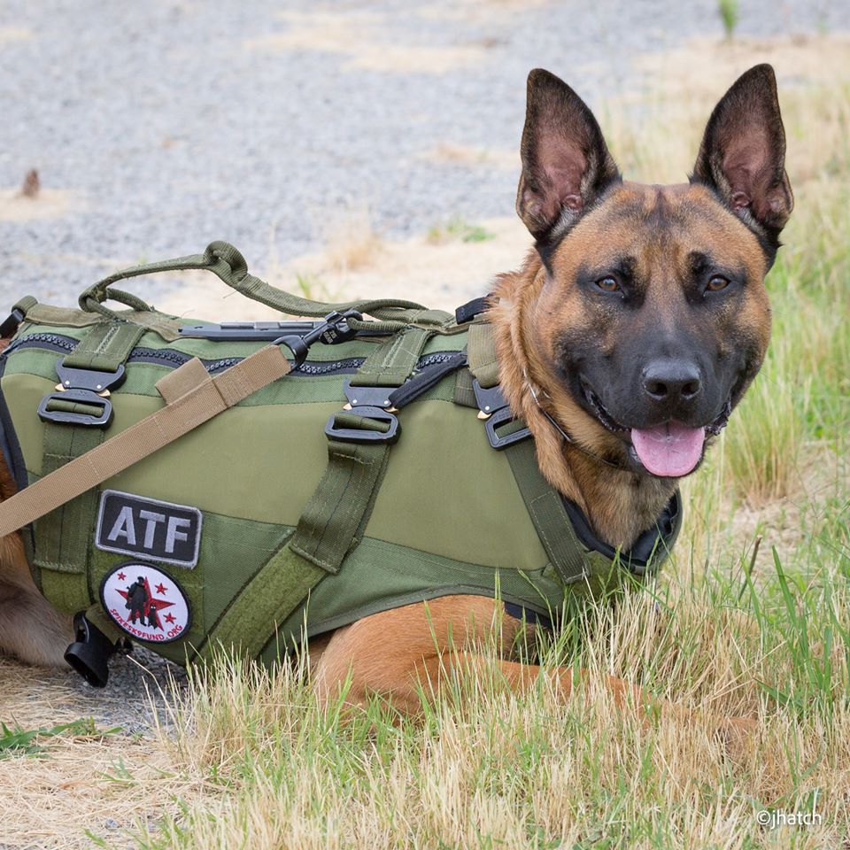 &quot;Protect A K9&quot; Package