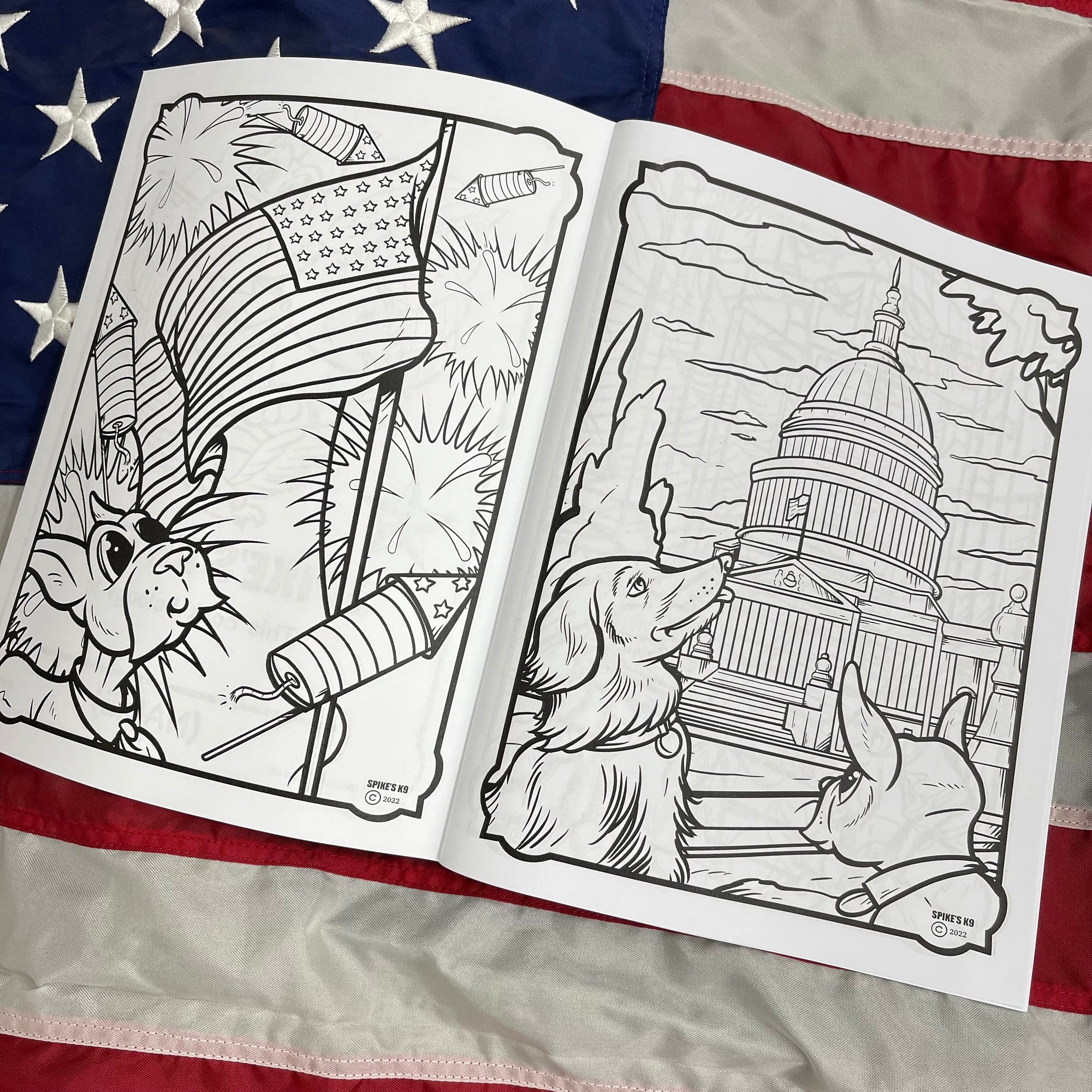 Red, White, and DEW! Coloring Book