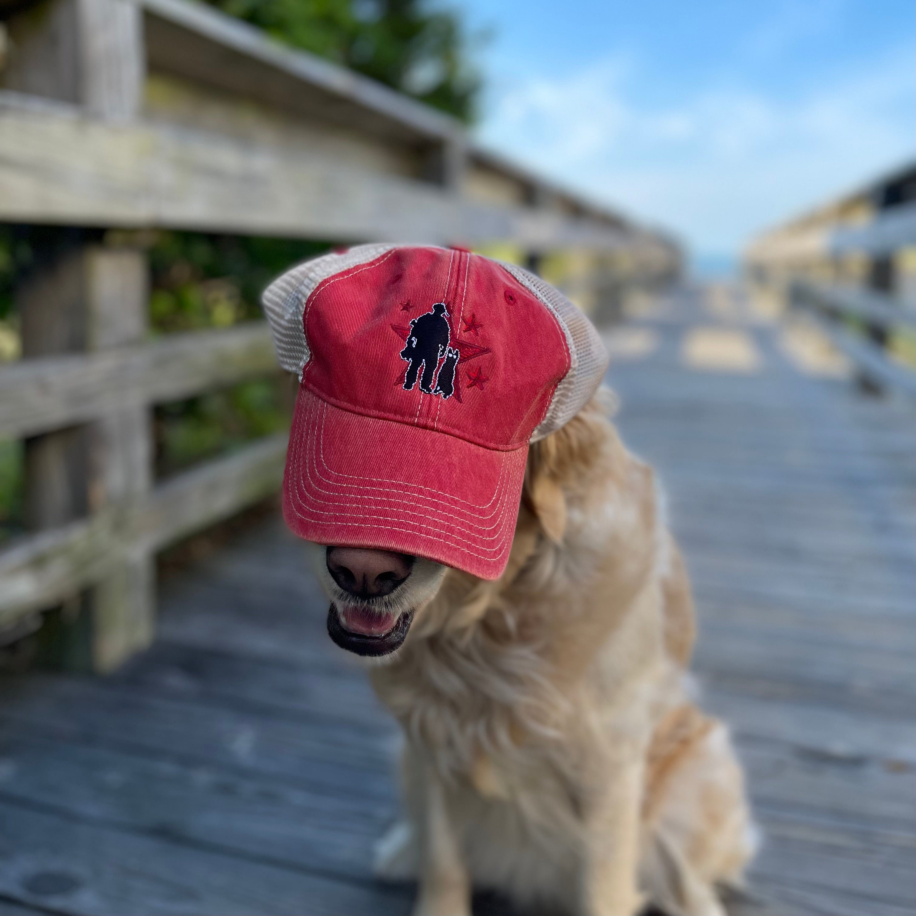 Boston Red Sox Woven Dog Leash