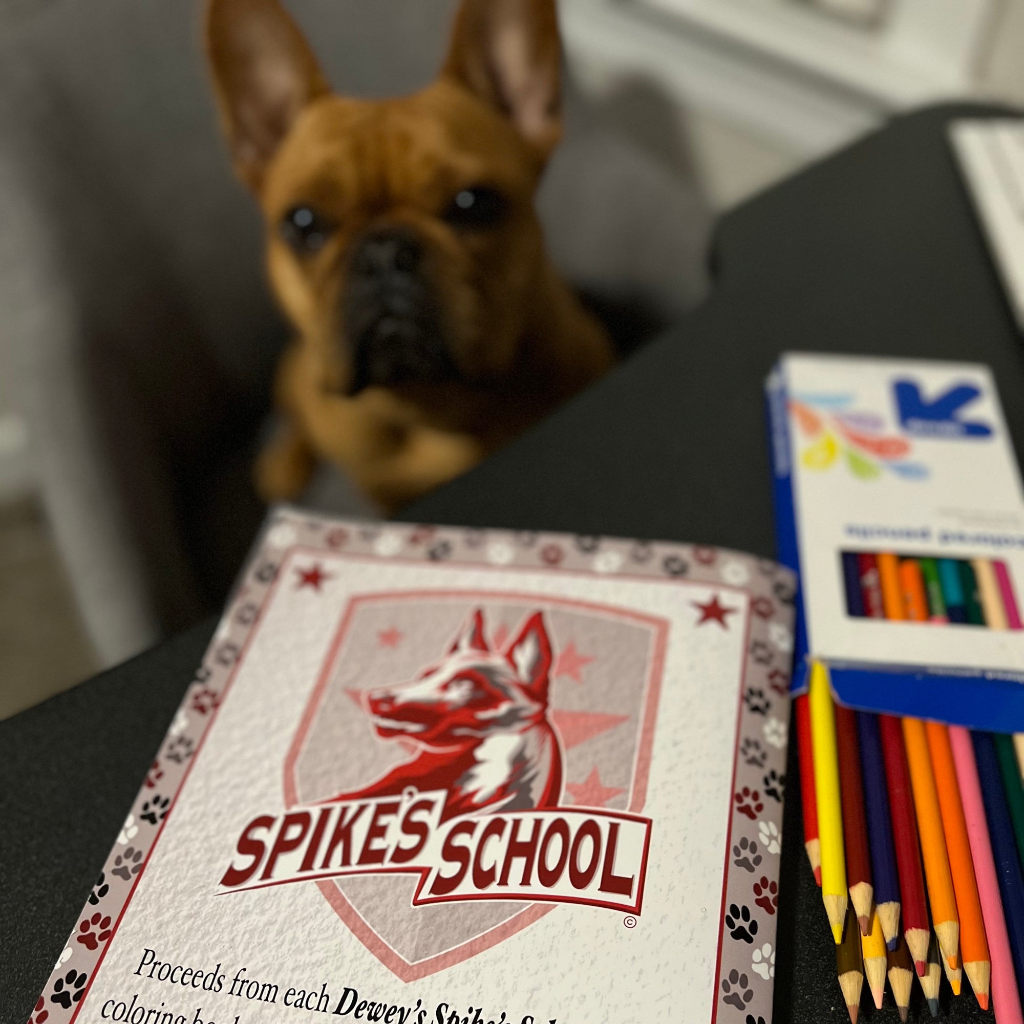 Dewey the Puppy Coloring Book - SAR Edition