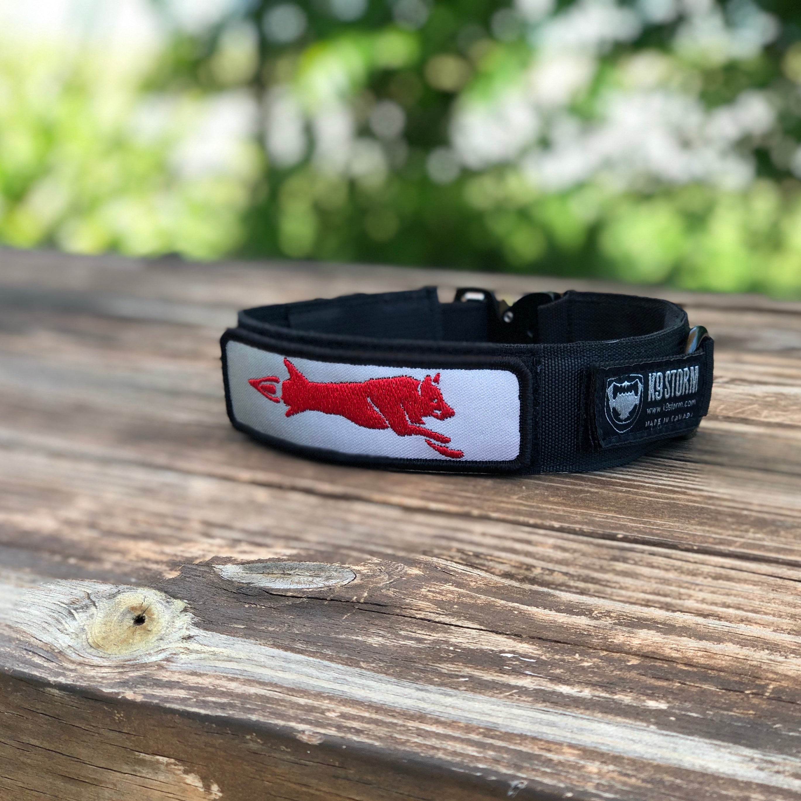 【Anyone more】Enf Fleece Collar Buckle Short Padding BUCKLE-DOWN Classic Teenage Mutant Ninja Turtles Polyester